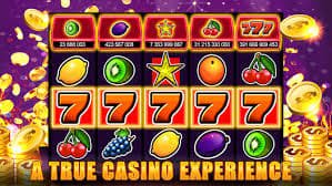 pkbet Live Casino